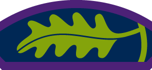 Young Leader Mission Badge